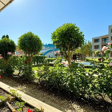 Bratanov Trakia Daire Sunny Beach